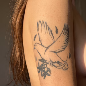 Peace Dove with Olive Branch
