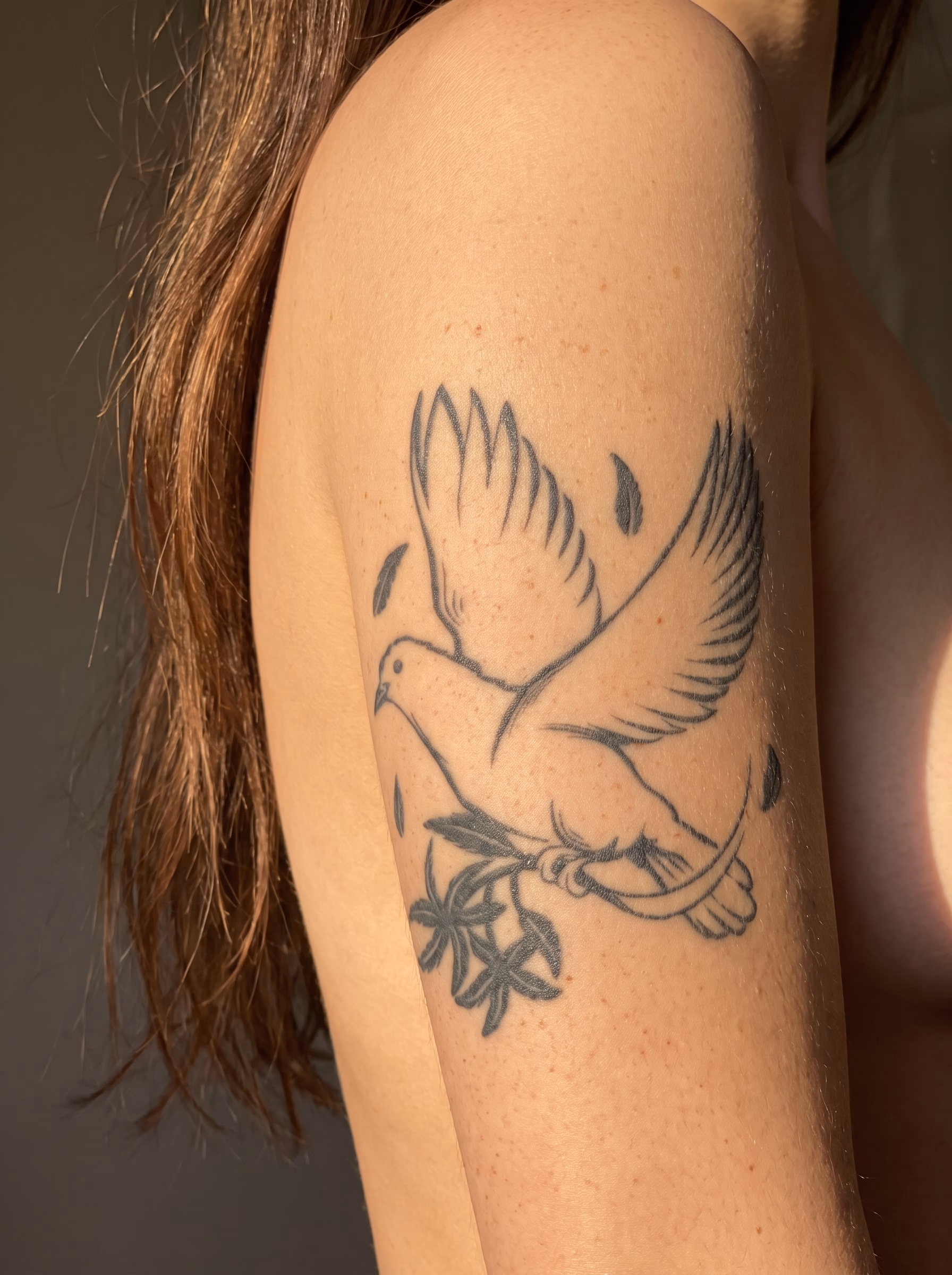 Peace Dove with Olive Branch